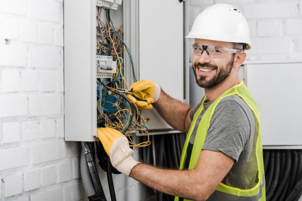 Best Industrial Electrical Services  in Brownlee Park, MI