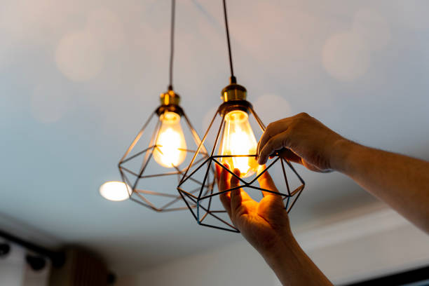 Best 24-Hour Electrician  in Brownlee Park, MI