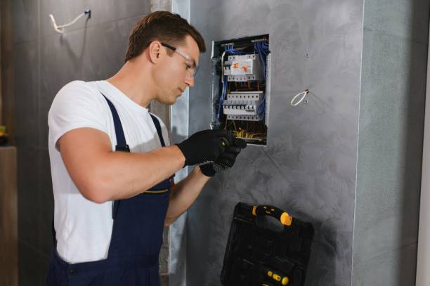 Best Electrical Wiring Services  in Brownlee Park, MI